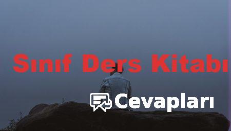 Felsefe 11 Sınıf Ders Kitabı Cevapları
