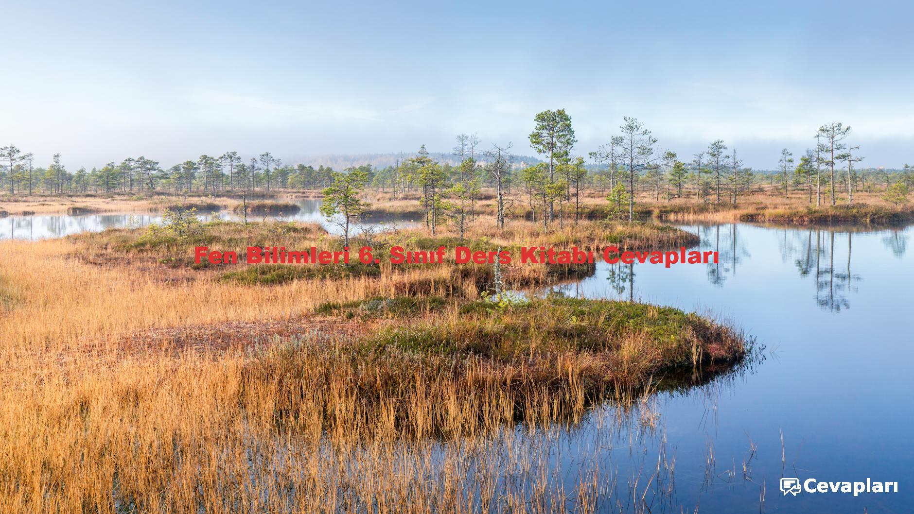 Fen Bilimleri 6. Sınıf Ders Kitabı Cevapları