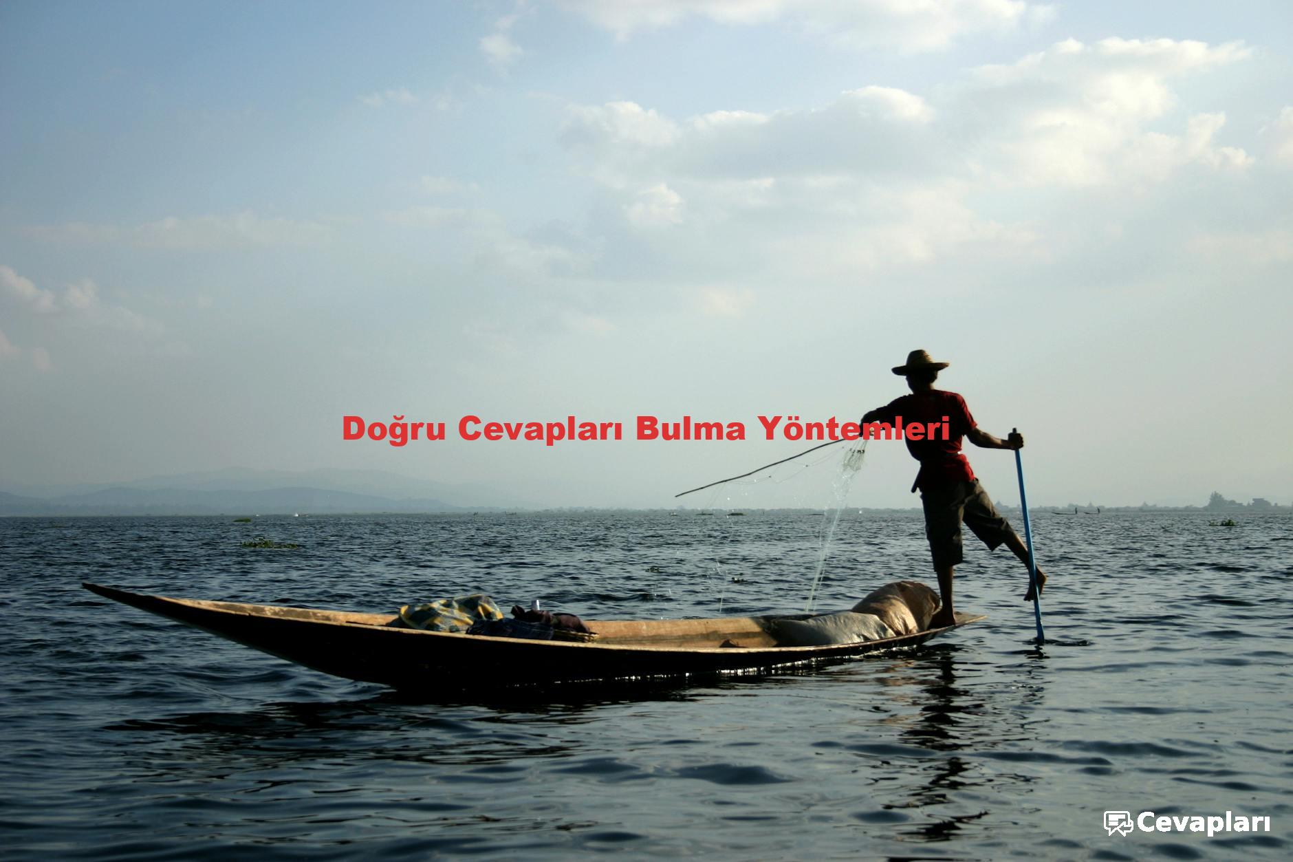 Doğru Cevapları Bulma Yöntemleri