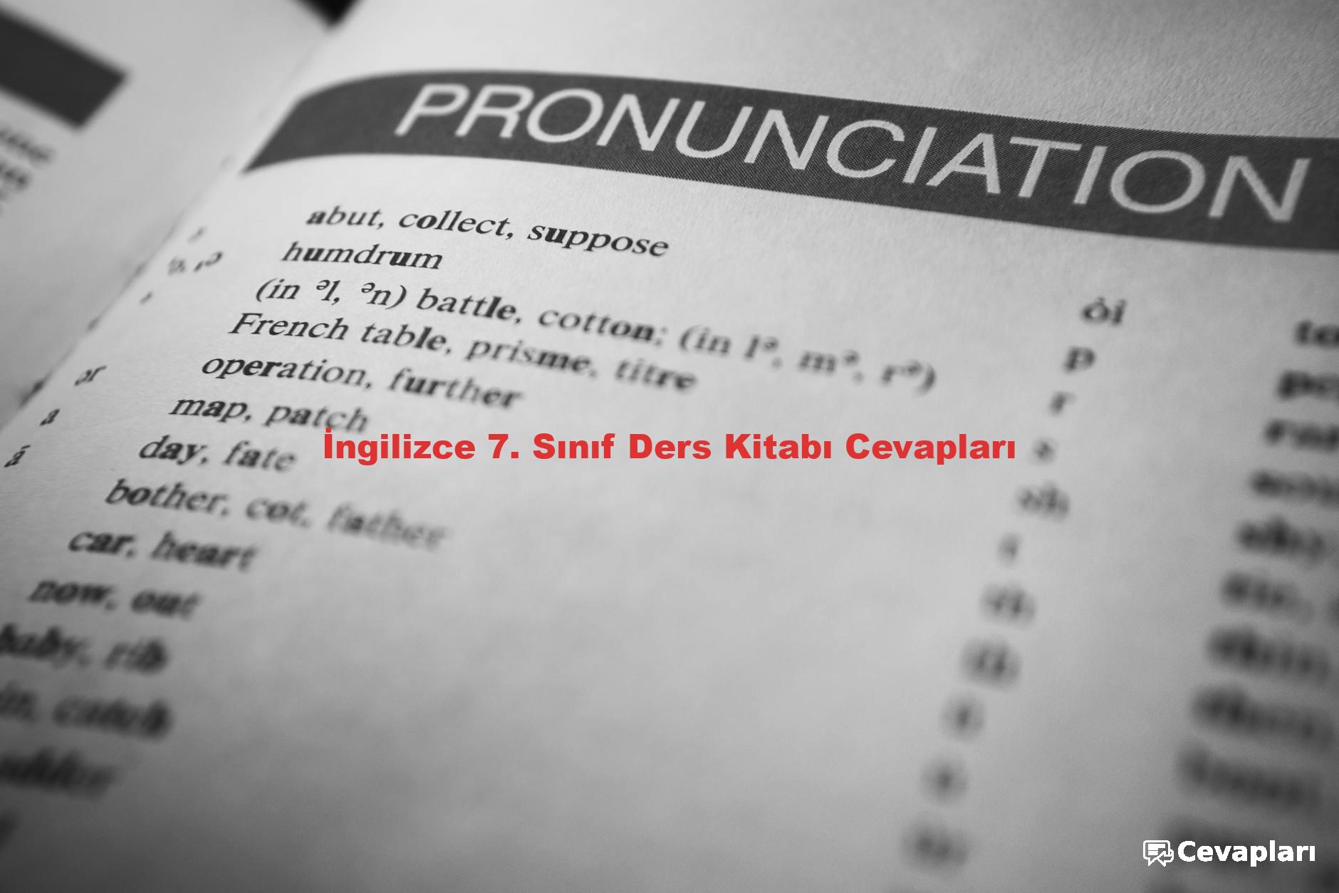 İngilizce 7. Sınıf Ders Kitabı Cevapları