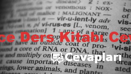 İngilizce Ders Kitabı Cevapları