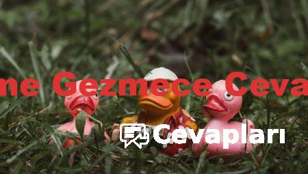 Kelime Gezmece Cevapları