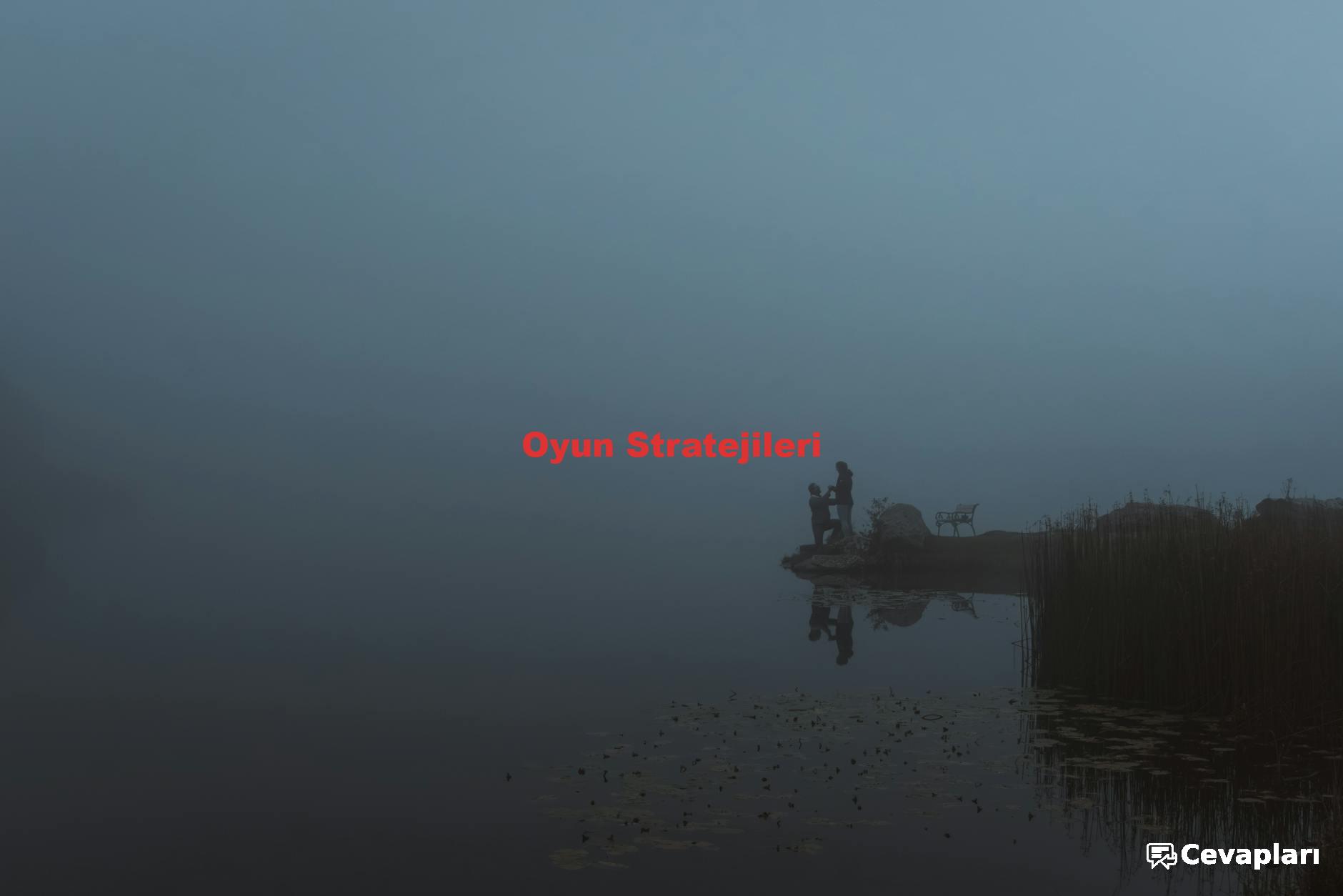 Oyun Stratejileri