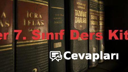 Sosyal Bilgiler 7. Sınıf Ders Kitabı Cevapları