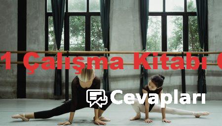 Yetenek 1 Çalışma Kitabı Cevapları