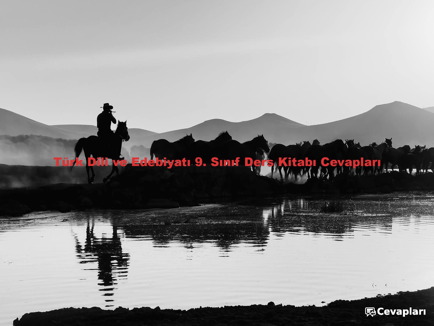 Türk Dili ve Edebiyatı 9. Sınıf Ders Kitabı Cevapları