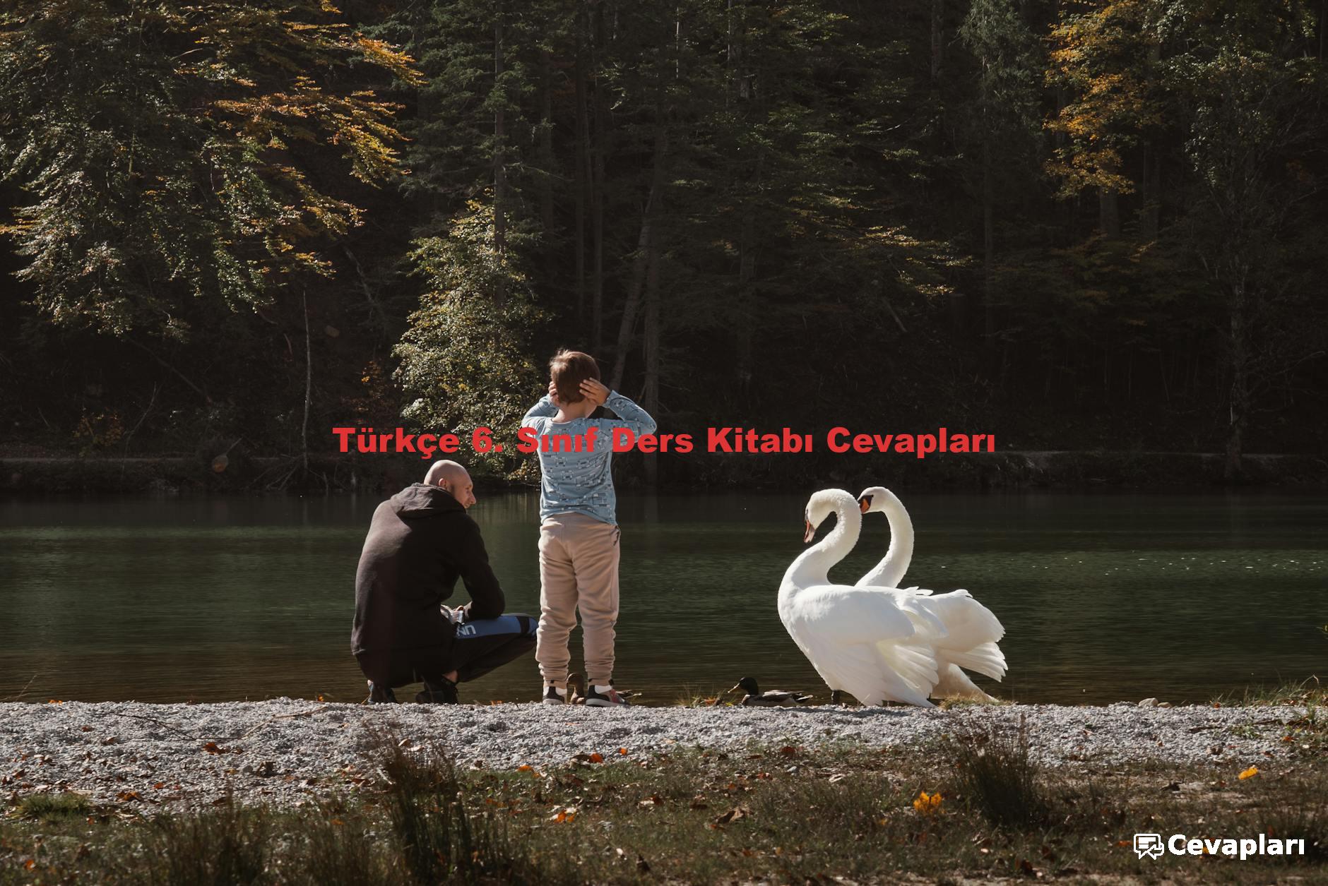 Türkçe 6. Sınıf Ders Kitabı Cevapları