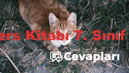 Türkçe Ders Kitabı 7. Sınıf Cevapları