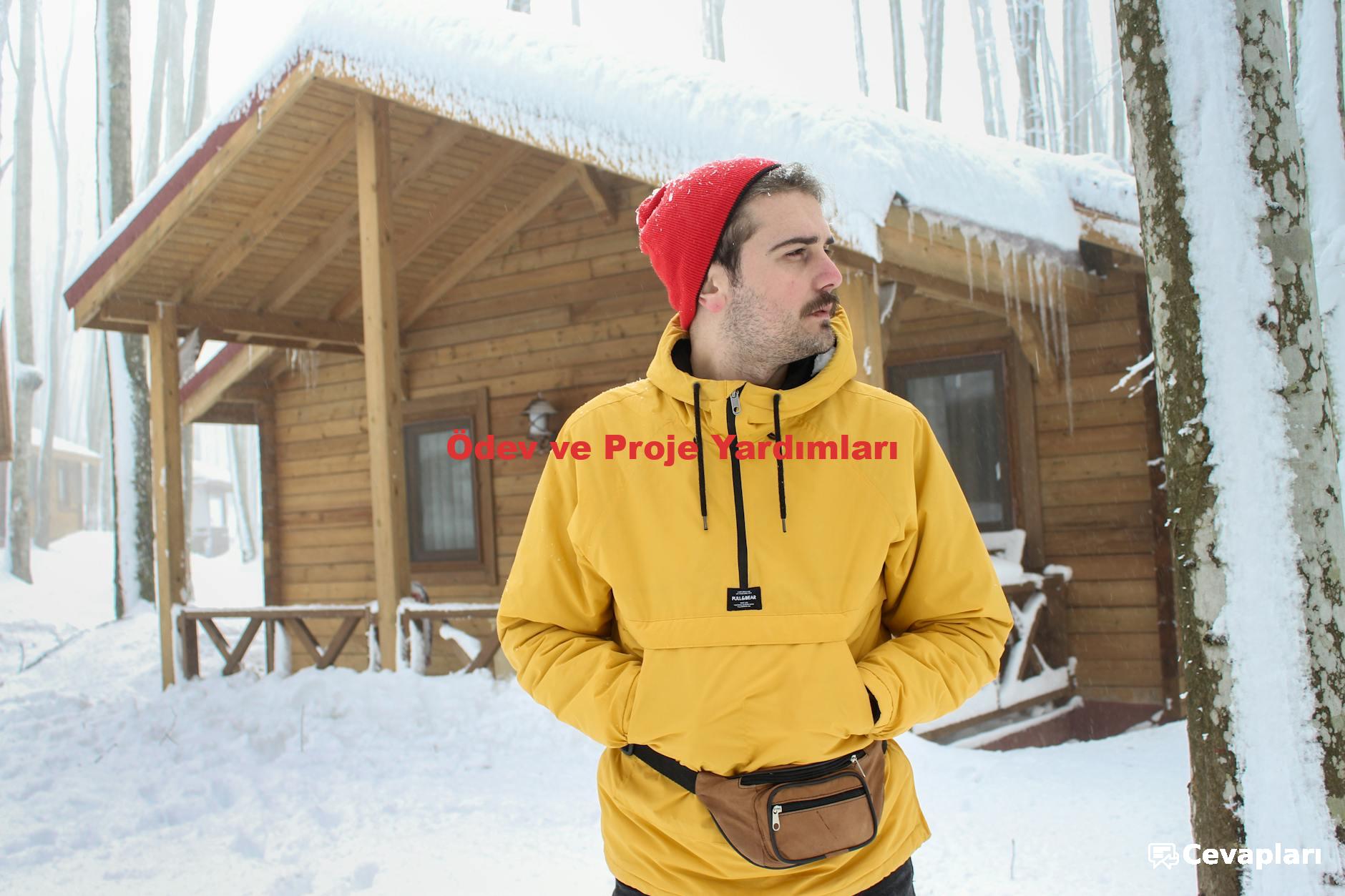 Ödev ve Proje Yardımları