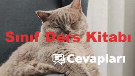 Türkçe 7. Sınıf Ders Kitabı Cevapları