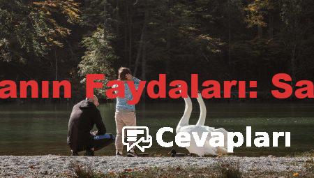 Sigarayı Bırakmanın Faydaları: Sağlığınıza Yatırım