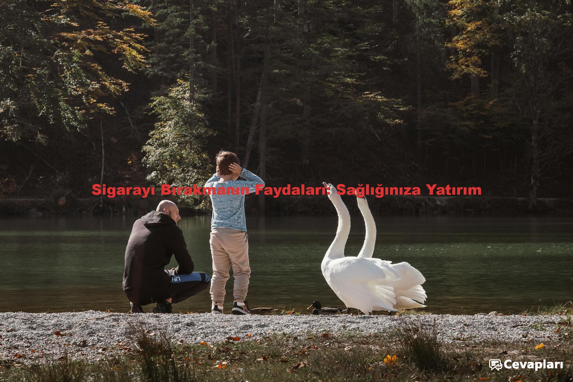 Sigarayı Bırakmanın Faydaları: Sağlığınıza Yatırım