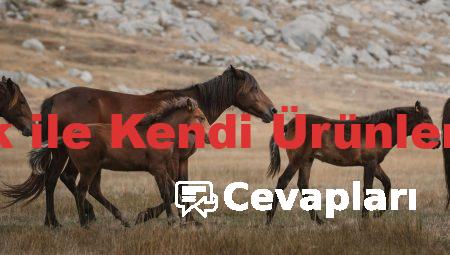 Fason Kozmetik ile Kendi Ürünlerini Tasarlamak