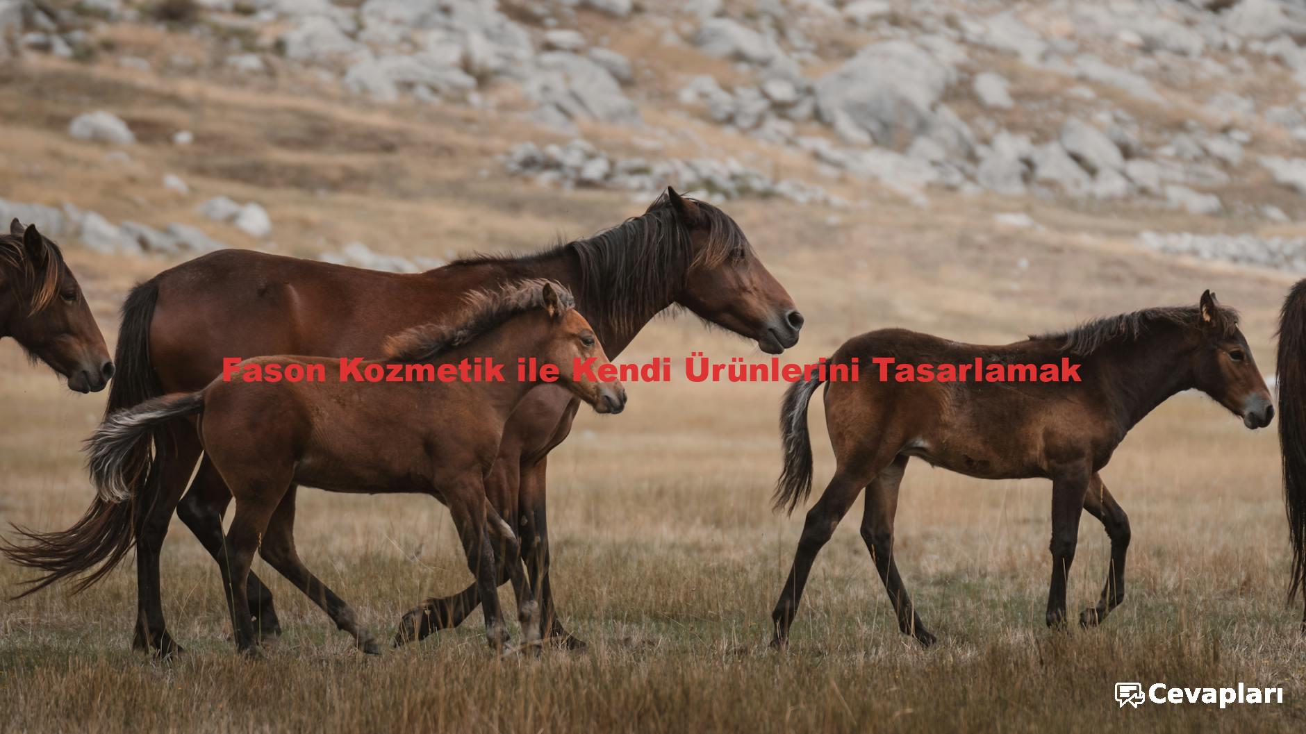 Fason Kozmetik ile Kendi Ürünlerini Tasarlamak
