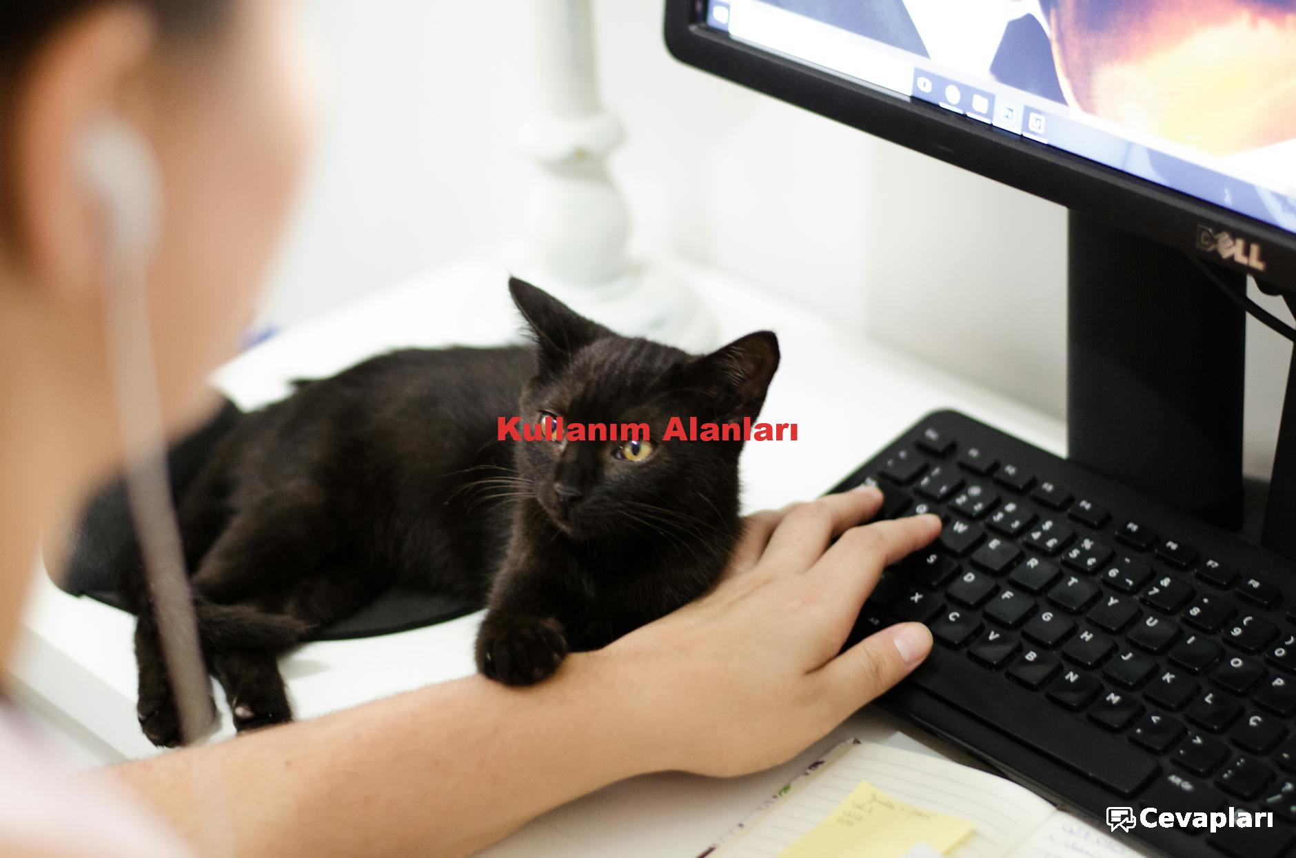 Kullanım Alanları