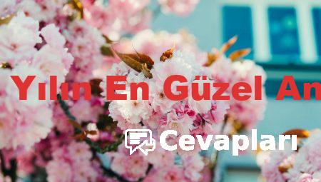 Almanca Aylar: Yılın En Güzel Anlarını Belirleyin