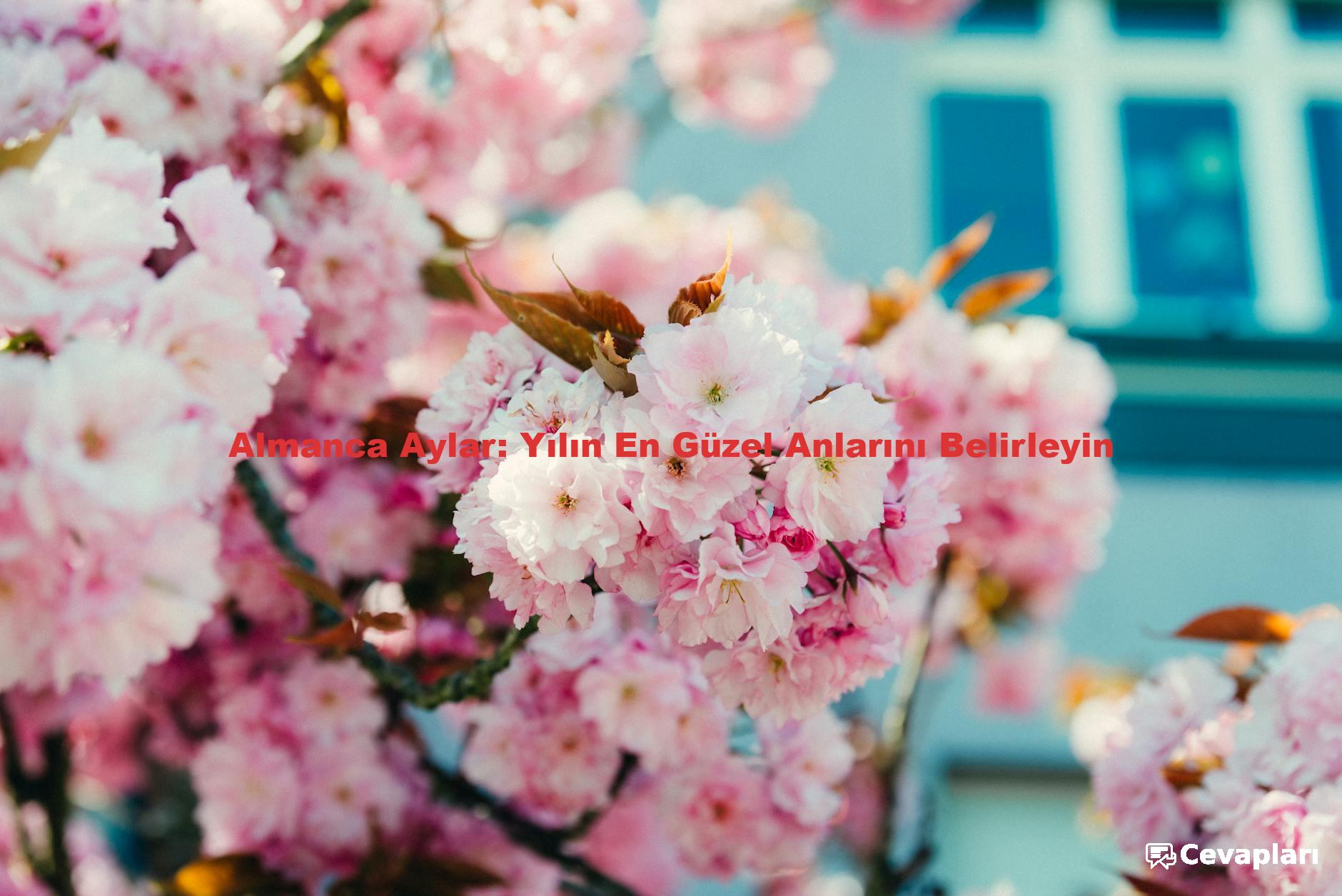 Almanca Aylar: Yılın En Güzel Anlarını Belirleyin