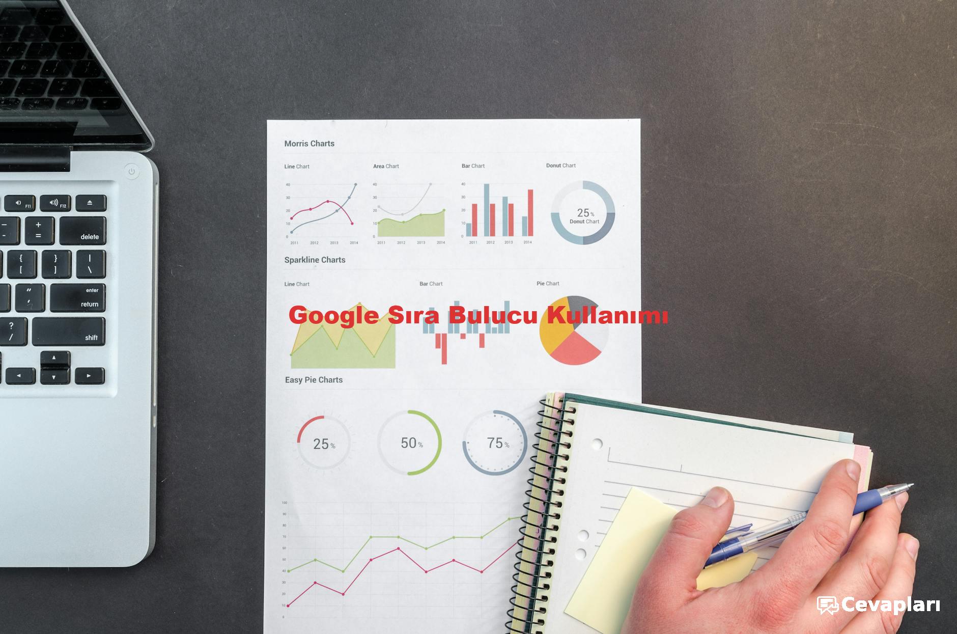 Google Sıra Bulucu Kullanımı