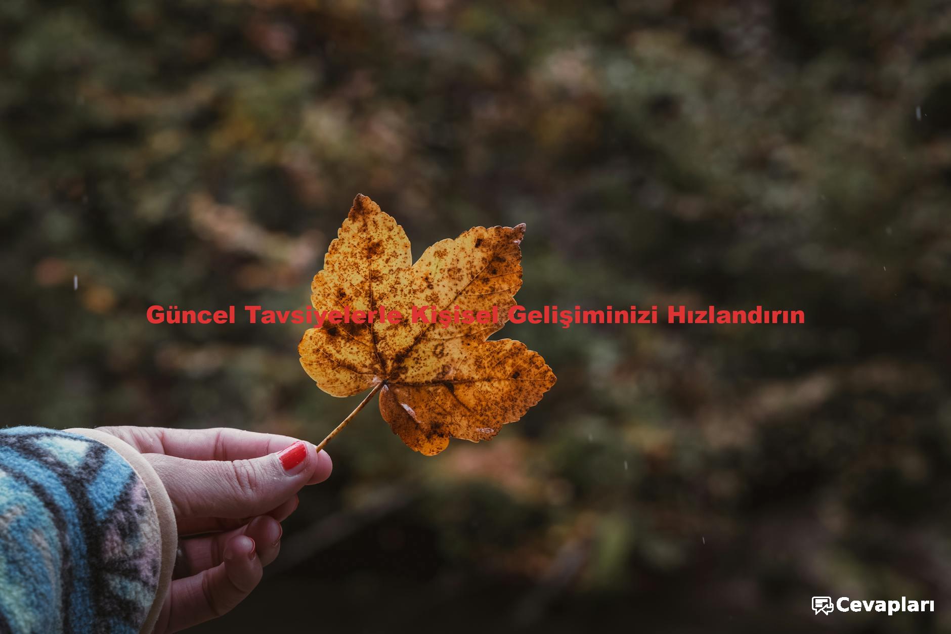 Güncel Tavsiyelerle Kişisel Gelişiminizi Hızlandırın
