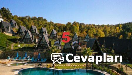 Bungalov Evlerde Bahçe Düzenlemesi